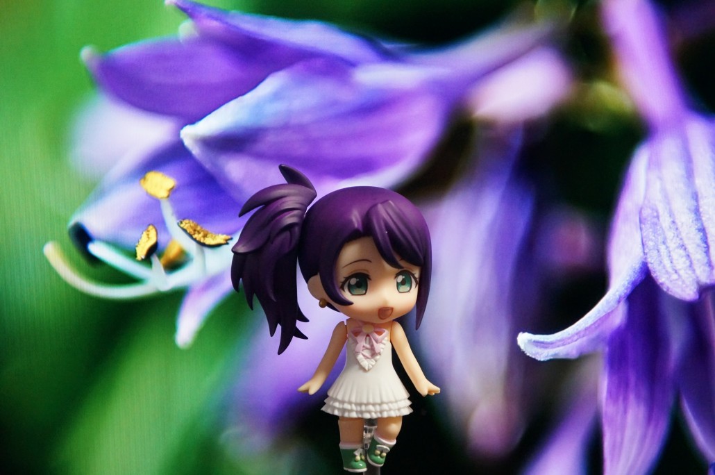 Shion Todo.1