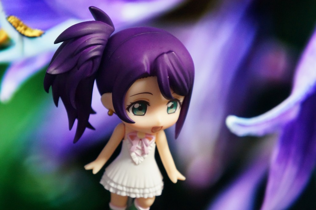 Shion Todo.12