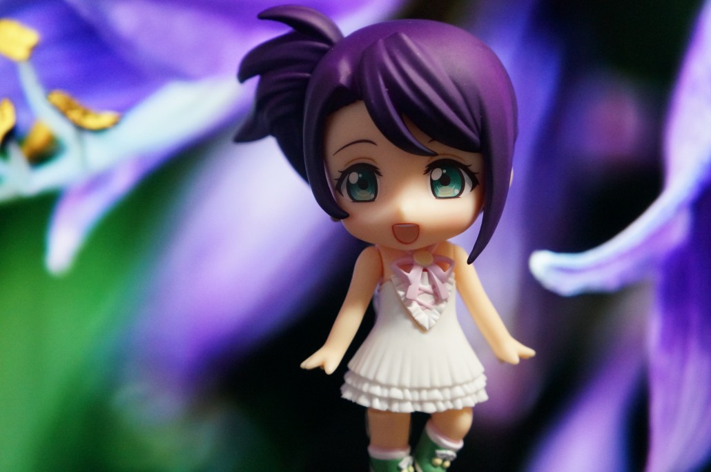 Shion Todo.13