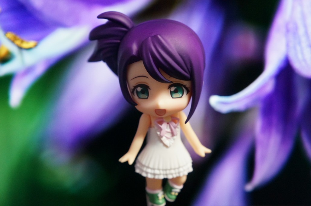 Shion Todo.14