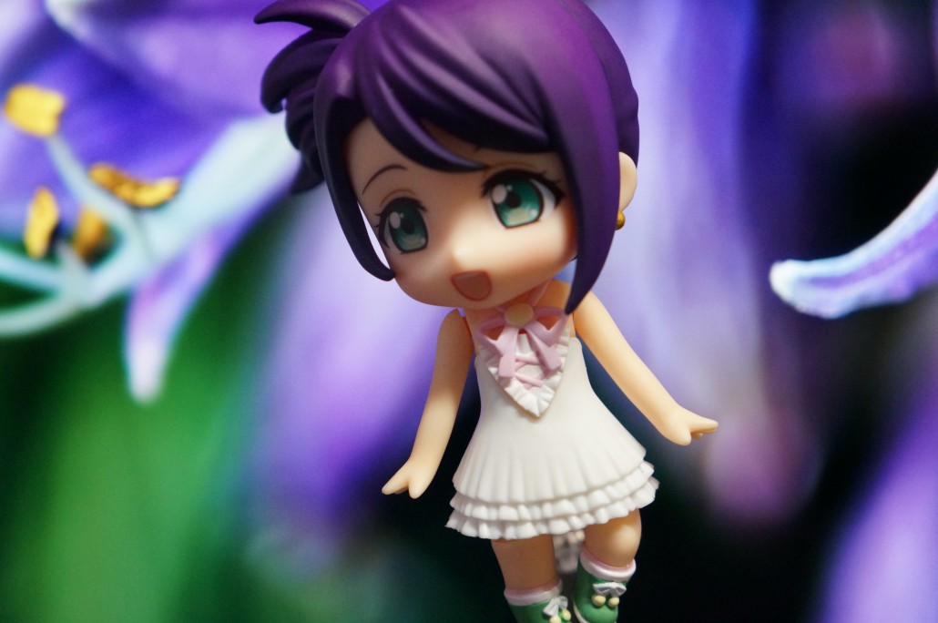 Shion Todo.16
