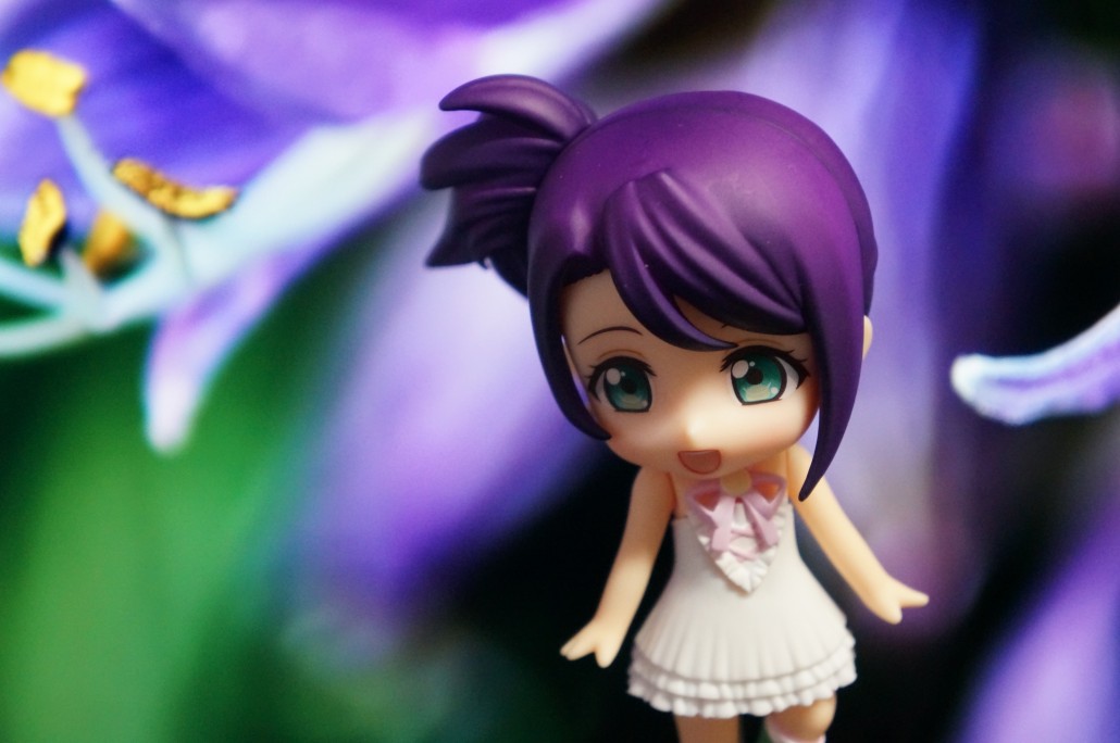 Shion Todo.19