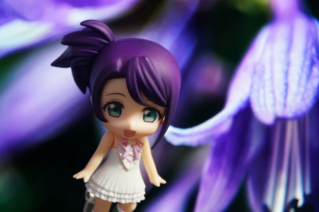 Shion Todo.21