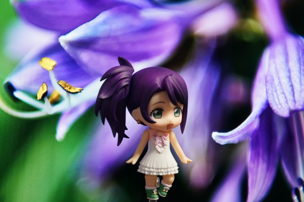 Shion Todo.2