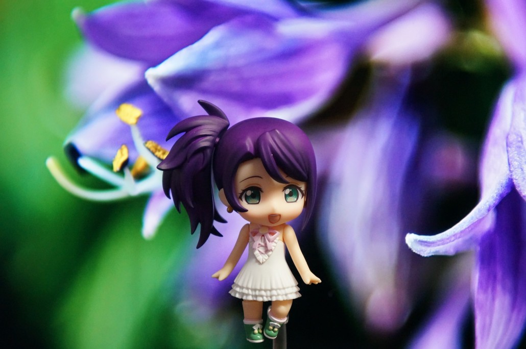 Shion Todo.3