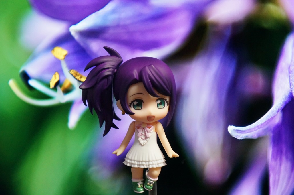 Shion Todo.4