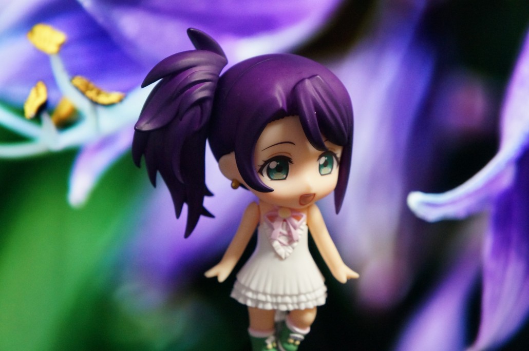 Shion Todo.5