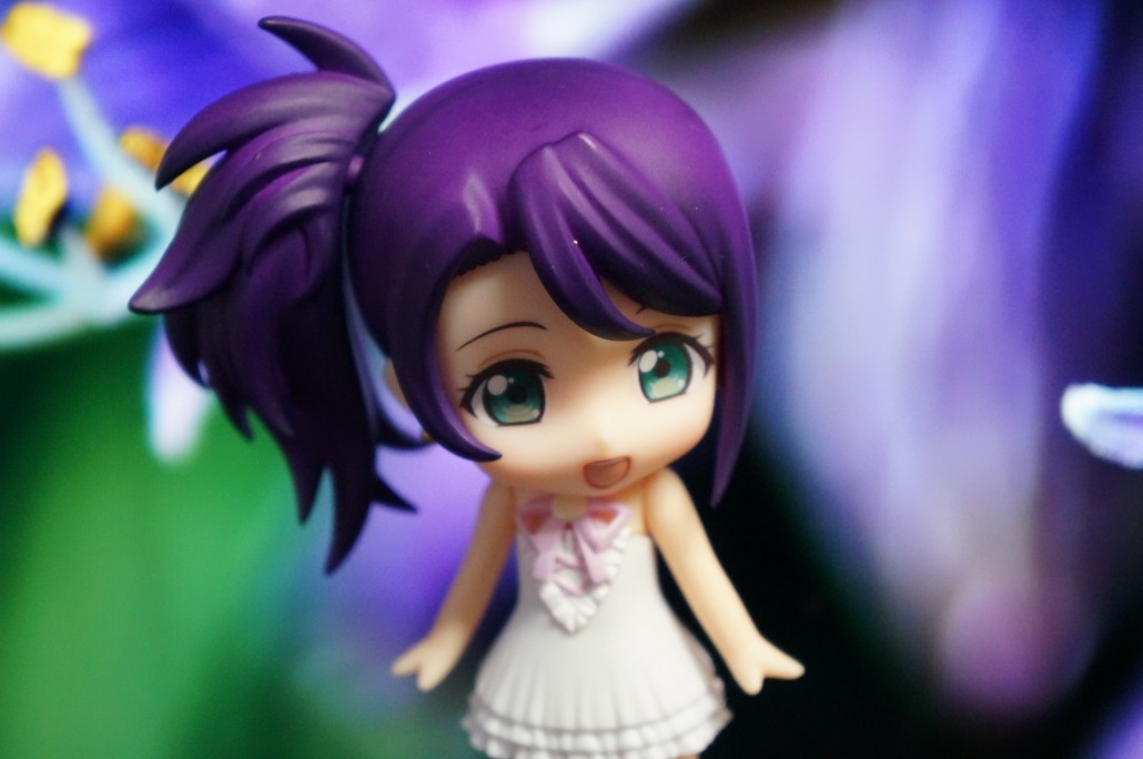 Shion Todo.9