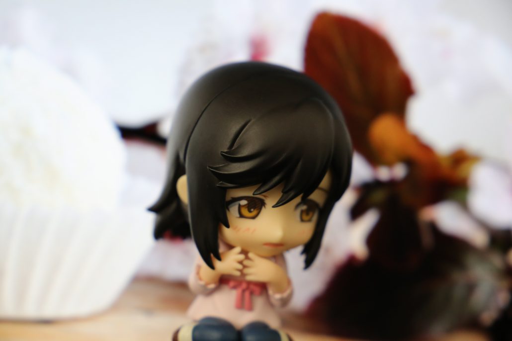 ichijo-hotaru-11