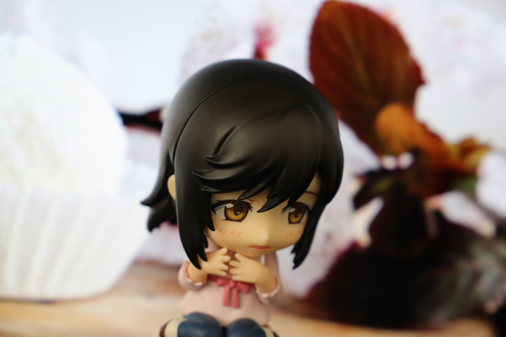 ichijo-hotaru-12