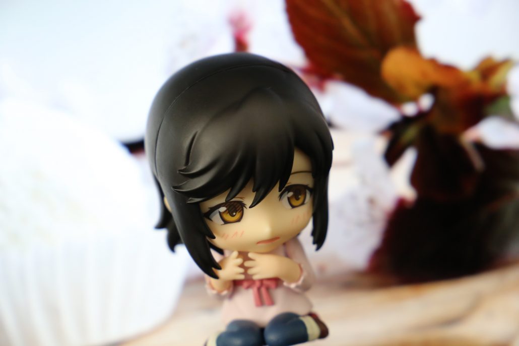 ichijo-hotaru-13