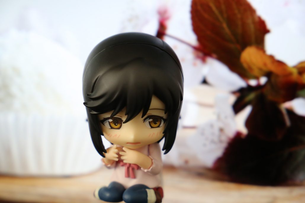 ichijo-hotaru-16