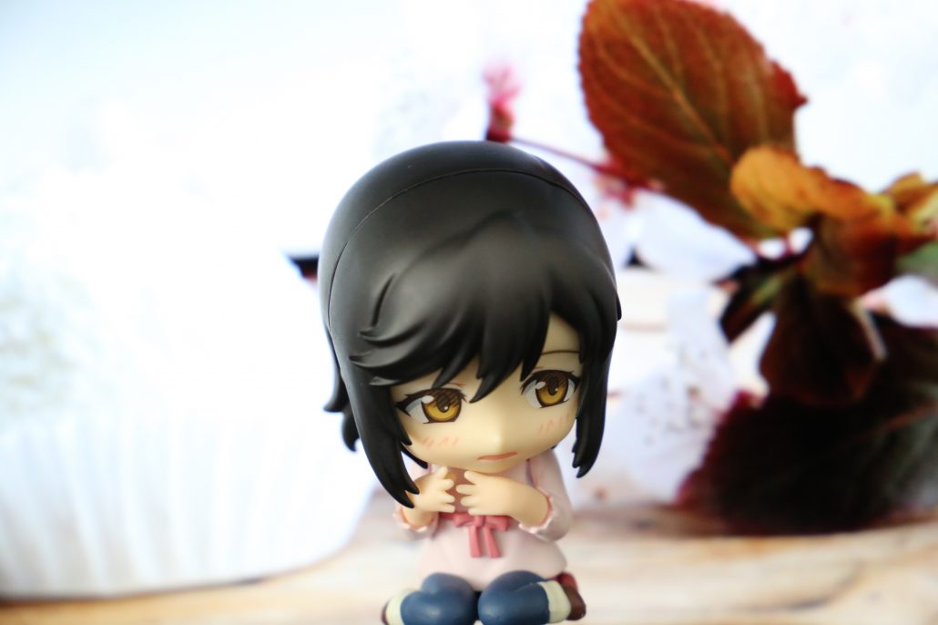 ichijo-hotaru-17