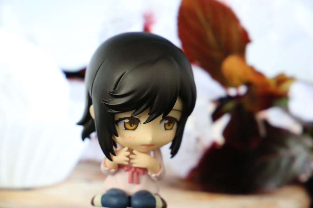 ichijo-hotaru-18