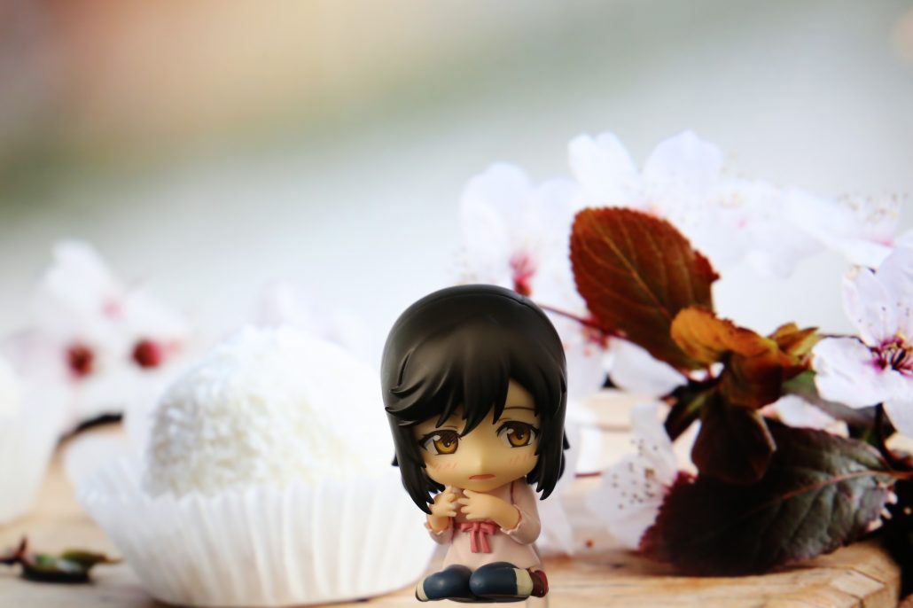 ichijo-hotaru-3