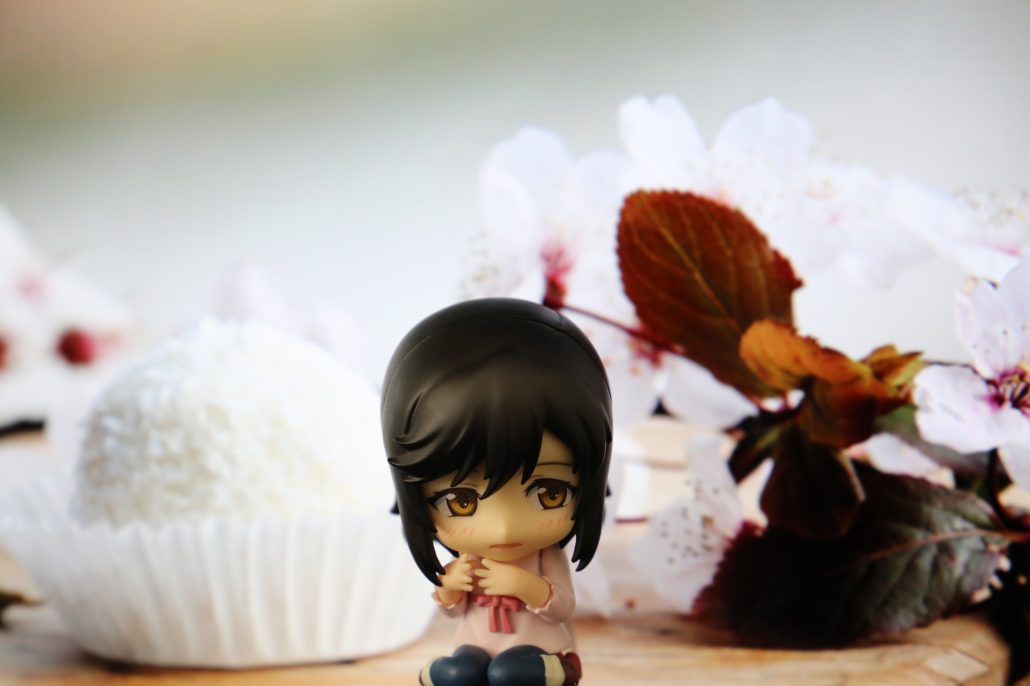 ichijo-hotaru-4