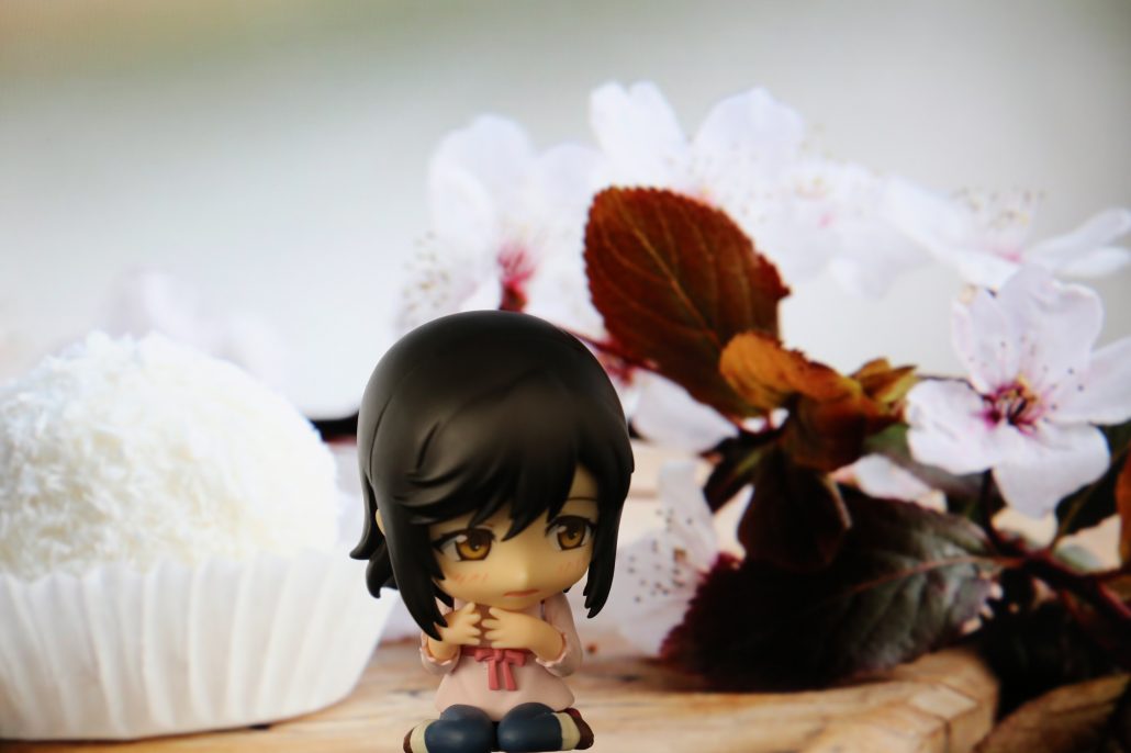 ichijo-hotaru-5