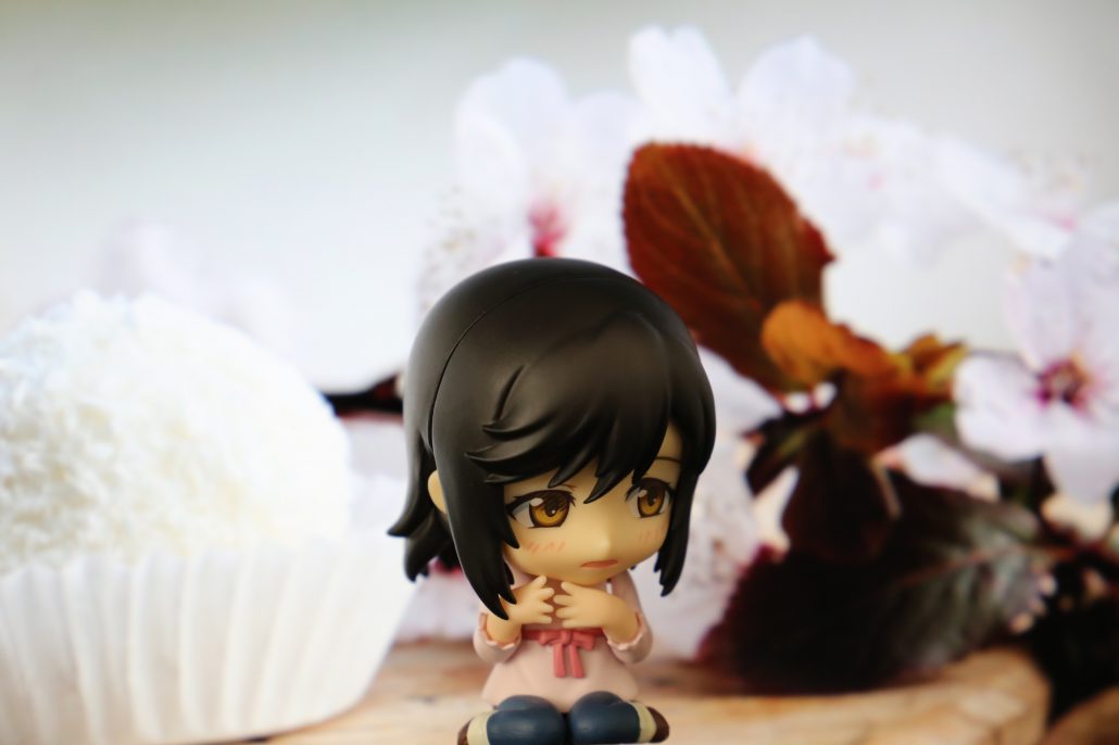 ichijo-hotaru-7