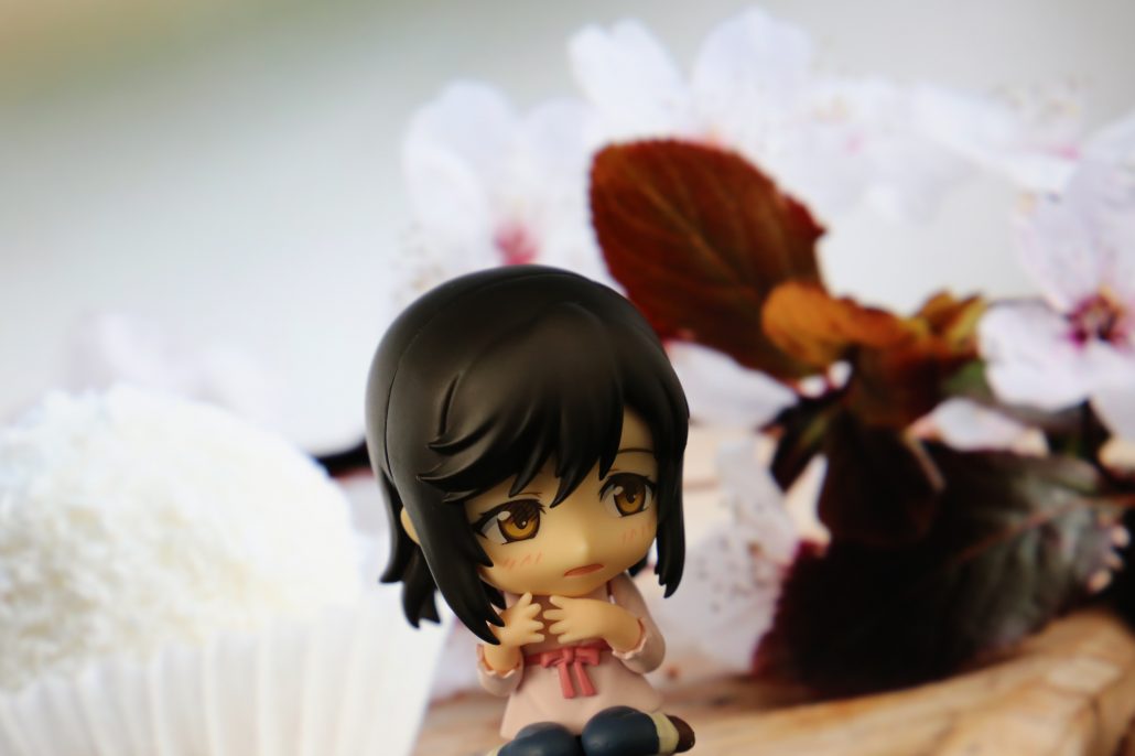ichijo-hotaru-8