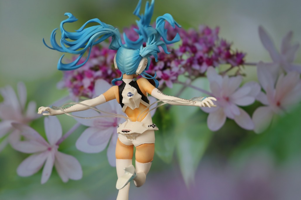 Racing Miku 2014.19