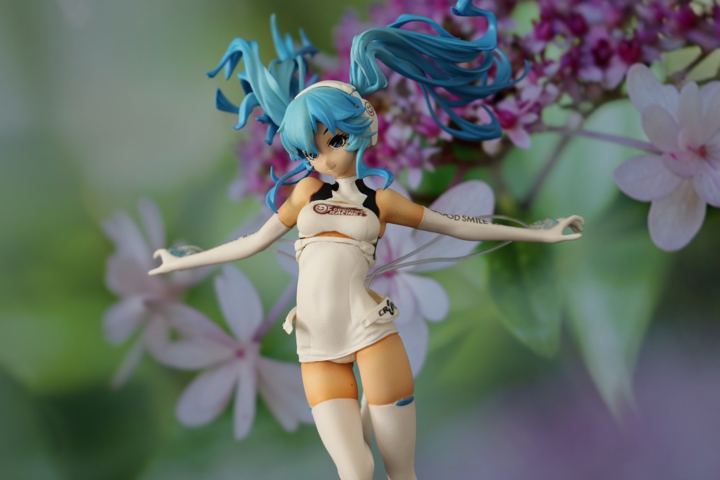 Racing Miku 2014.6