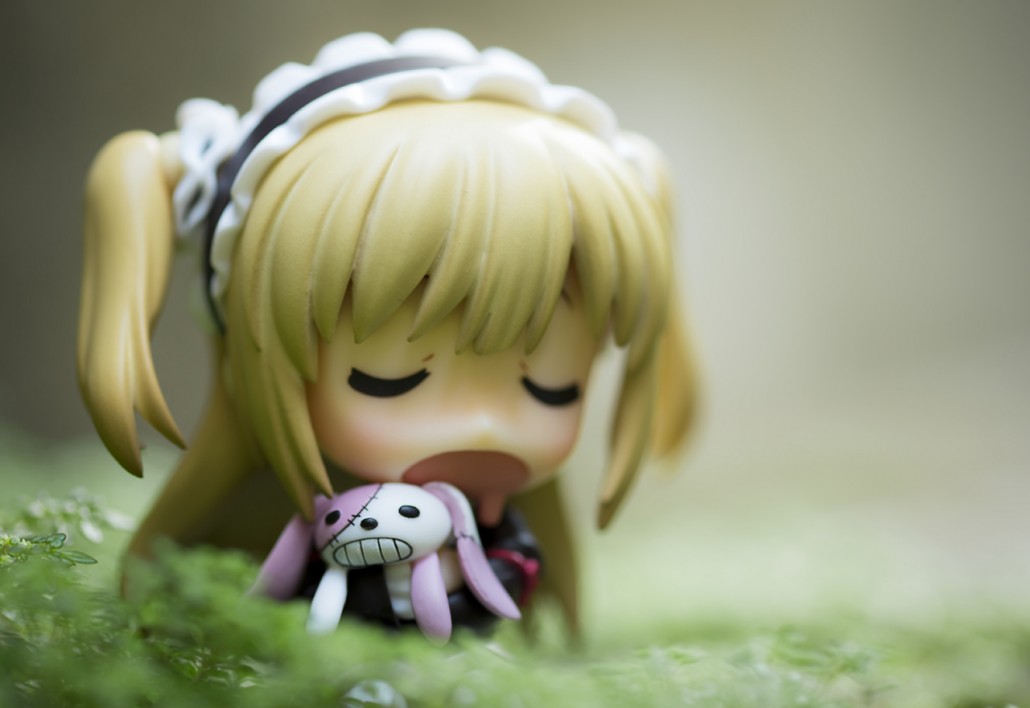 Image du jour.107