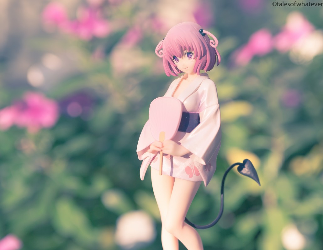 Image du jour.122