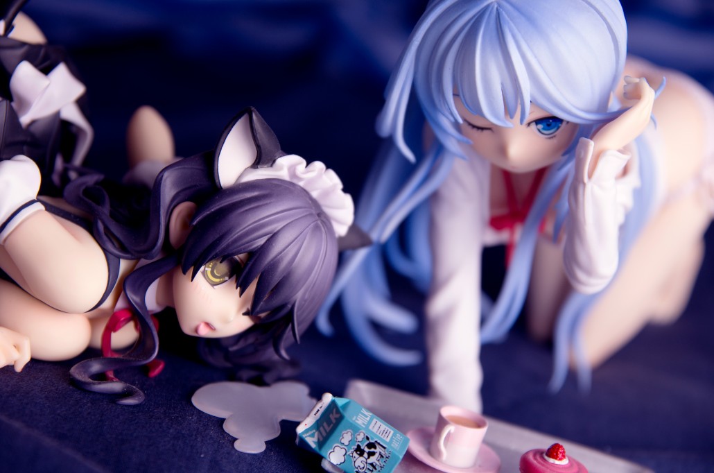 Image du jour.241