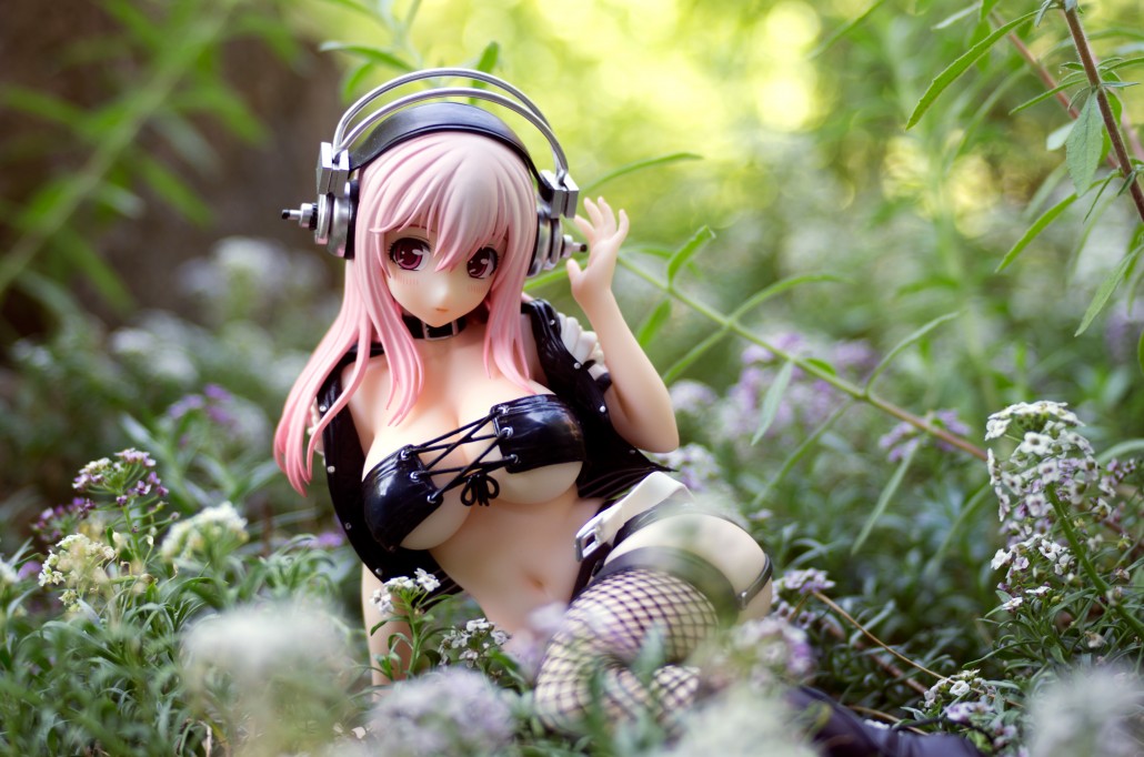 Image du jour.242