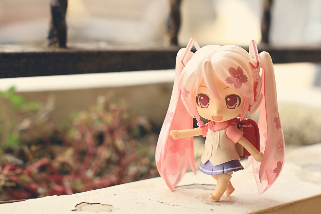 Image du jour.244
