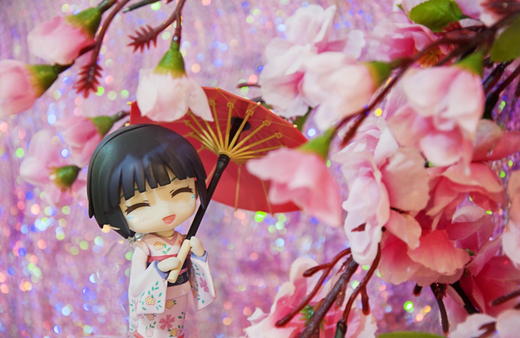 Image du jour.252