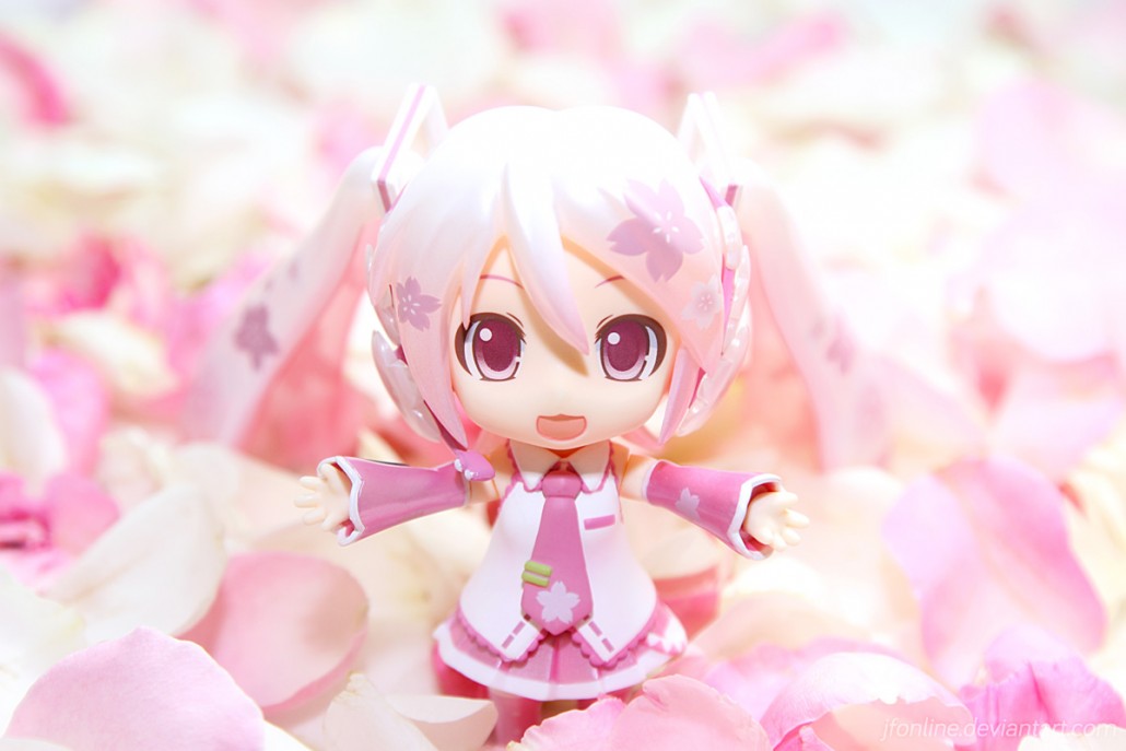 Image du jour.271