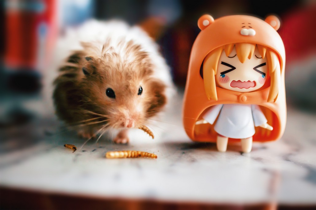 Image du jour.275