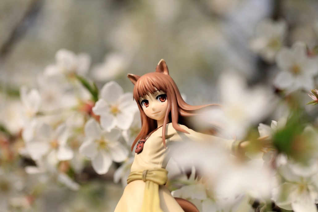 Image du jour.286