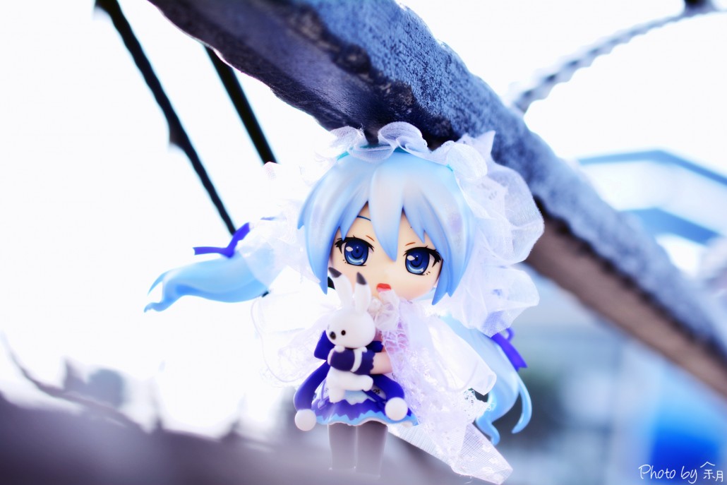 Image du jour.292
