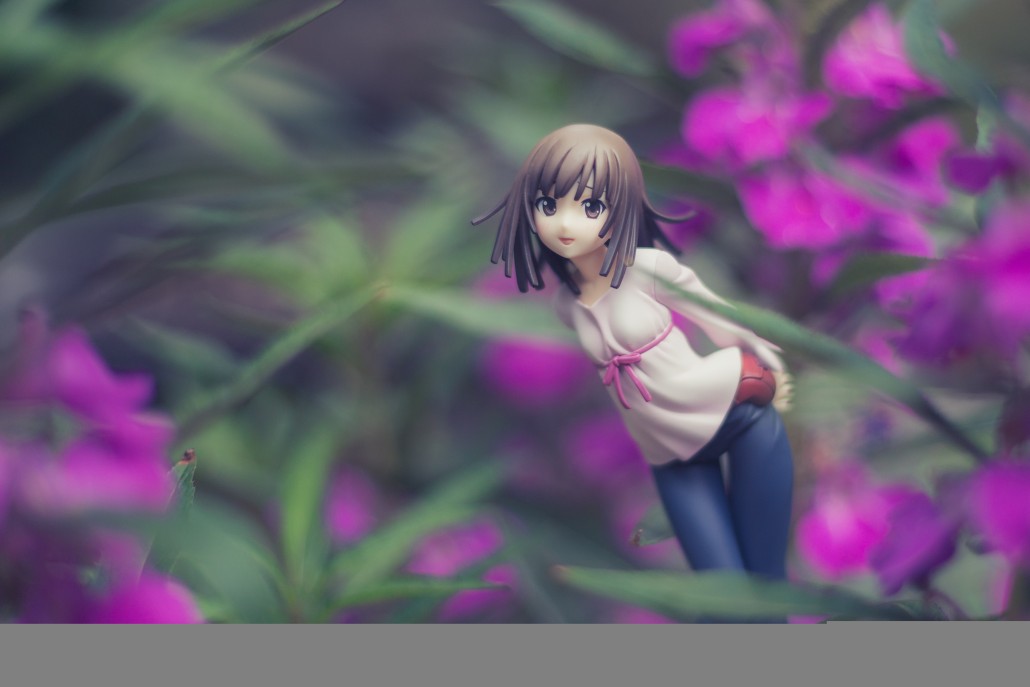 Image du jour.297