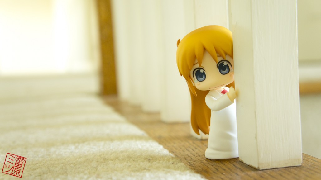 SONY DSC