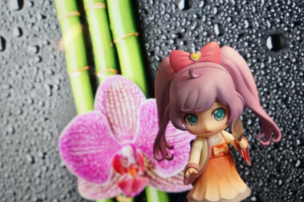 Manaka Laala.10
