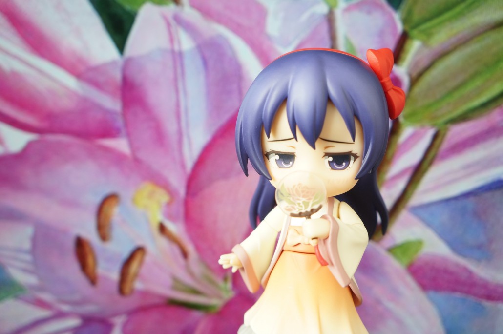 Sonoda Umi.14