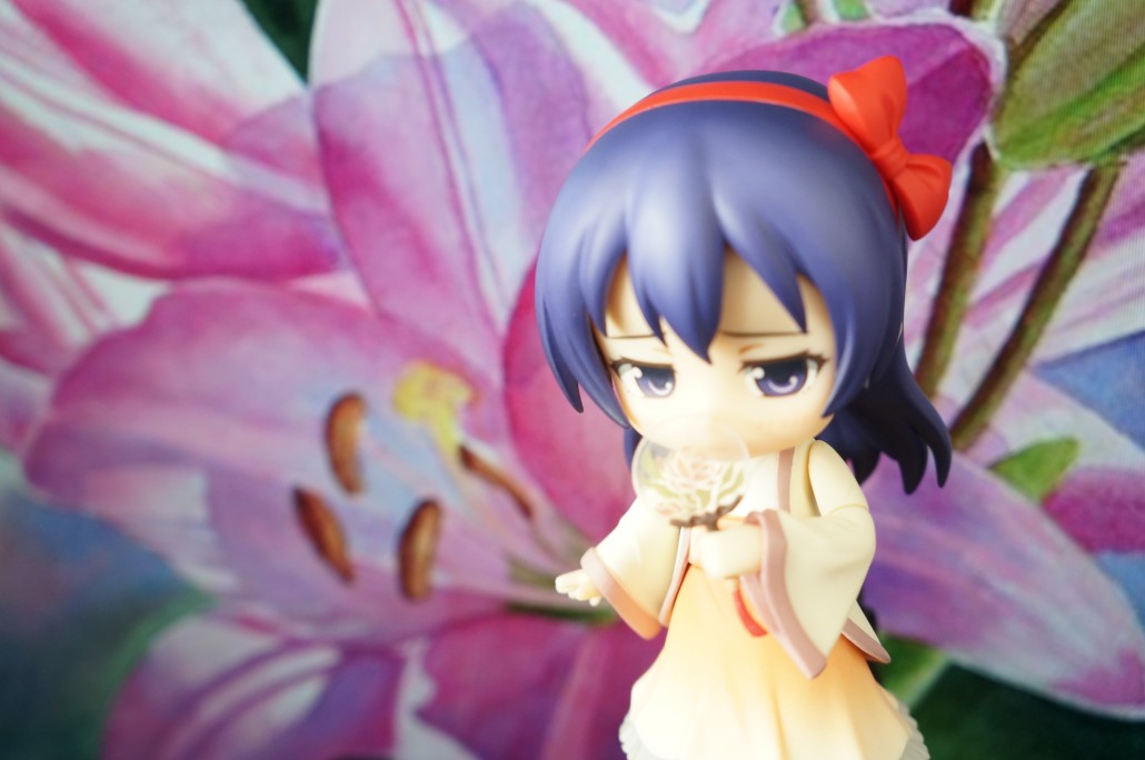 Sonoda Umi.15