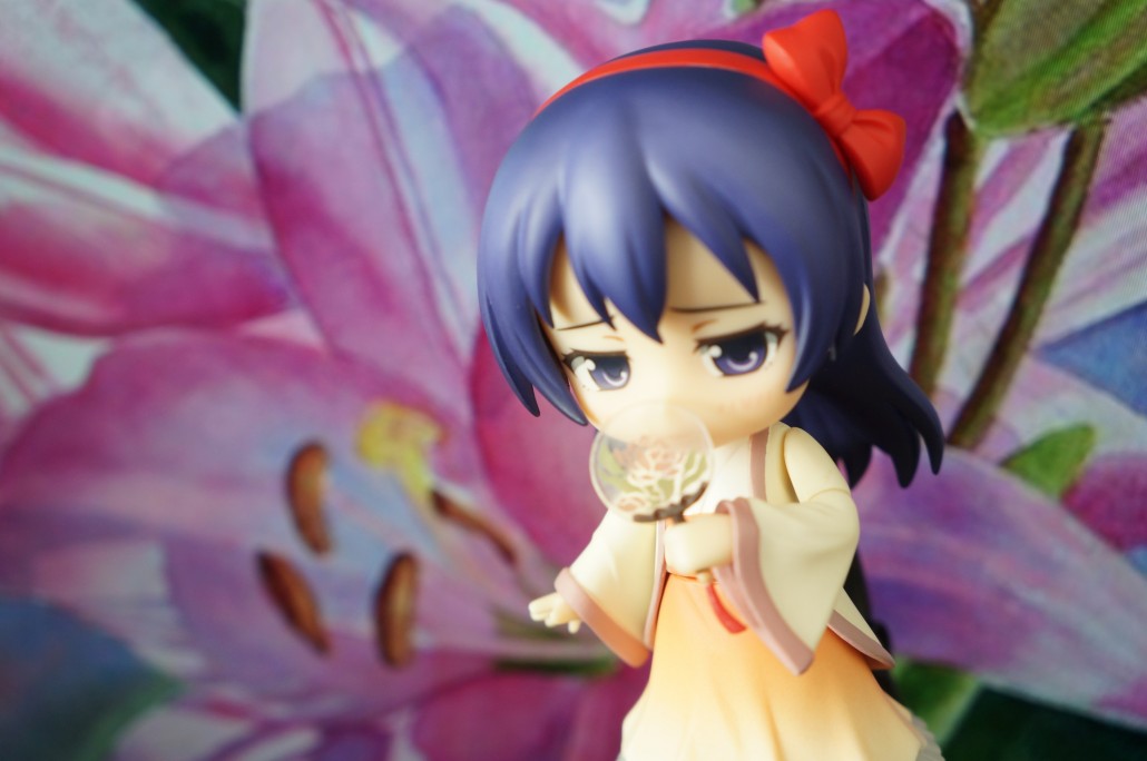 Sonoda Umi.18