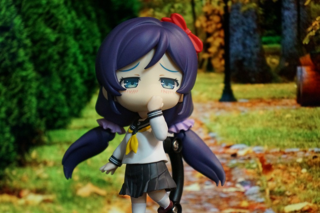 Tojo Nozomi.20