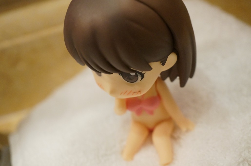 Nene Anegasaki.11