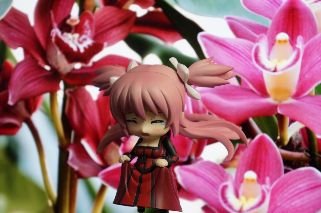 Ultimate Madoka Kaname.3