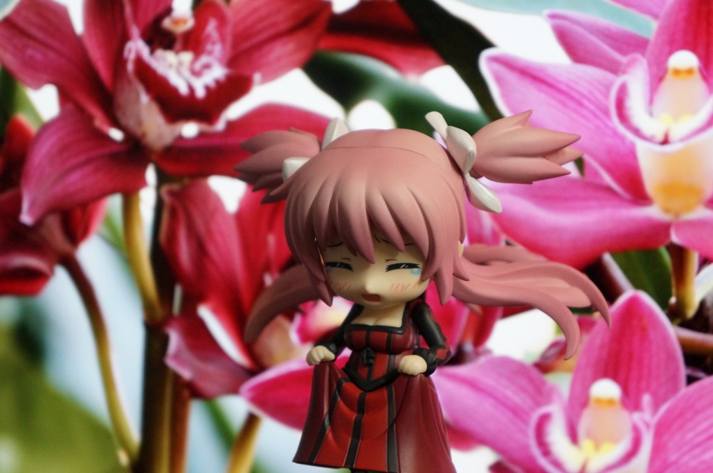 Ultimate Madoka Kaname.4
