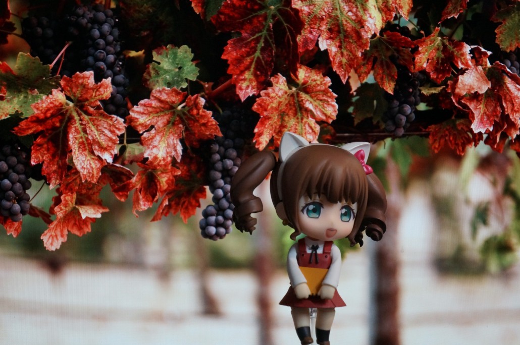 Yukari Tamura.1