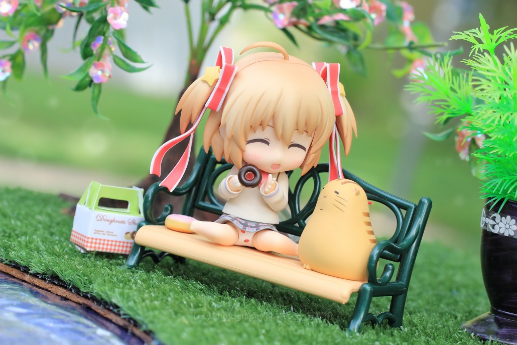 Image of the day.22