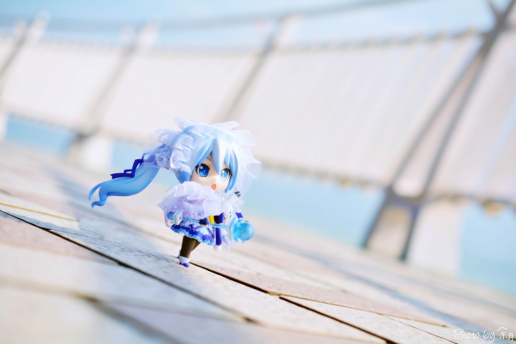 Image of the day.416