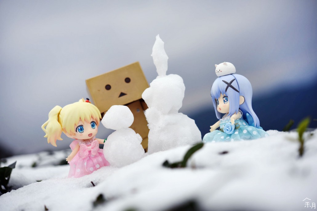 Image of the day.463