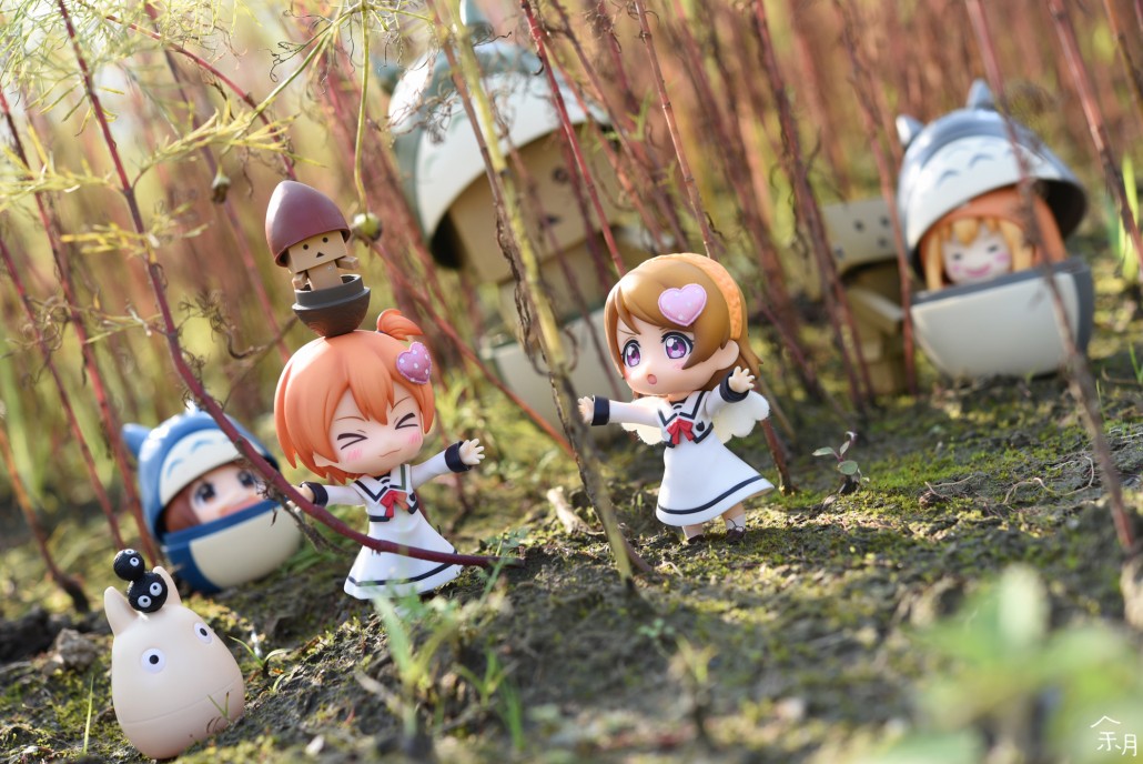 Image of the day.466